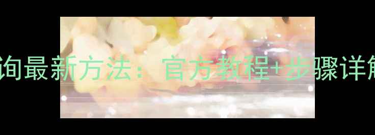 永久自行车防伪查询最新方法官方教程步骤详解3分钟验证真伪