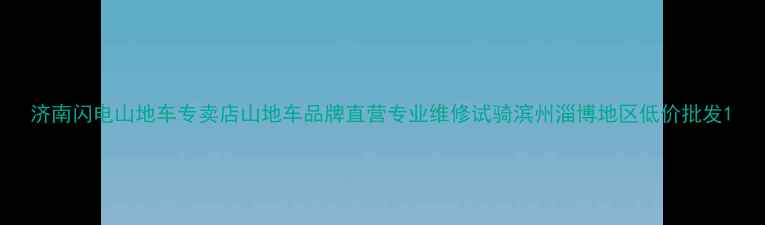 济南闪电山地车专卖店山地车品牌直营专业维修试骑滨州淄博地区低价批发