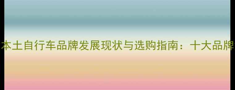 深圳本土自行车品牌发展现状与选购指南十大品牌深度