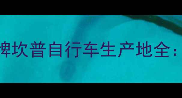 深度全球顶级公路车品牌坎普自行车生产地全工艺历史与选购指南