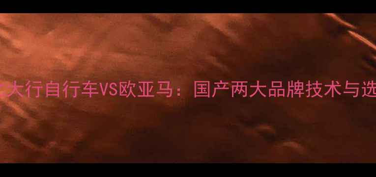 深度对比大行自行车VS欧亚马国产两大品牌技术与选购指南