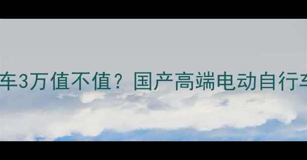 深度测评闪电自行车3万值不值国产高端电动自行车性能与价格真相