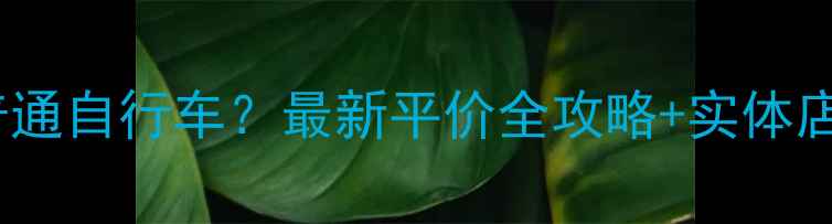 潍坊哪里买普通自行车最新平价全攻略实体店地址大公开