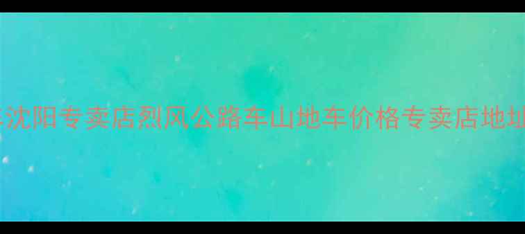 烈风自行车沈阳专卖店烈风公路车山地车价格专卖店地址优惠活动