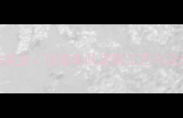 环法涂装全顶级车队定制工艺与设计趋势