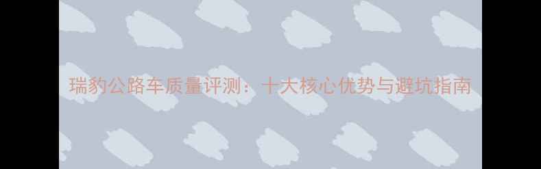 瑞豹公路车质量评测十大核心优势与避坑指南