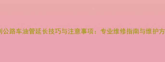 碟刹公路车油管延长技巧与注意事项专业维修指南与维护方案