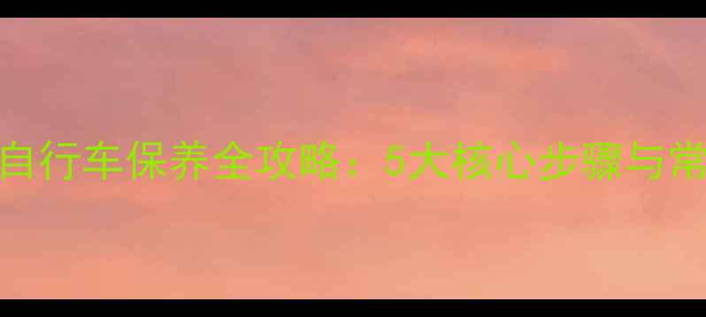 碳纤维自行车保养全攻略5大核心步骤与常见误区
