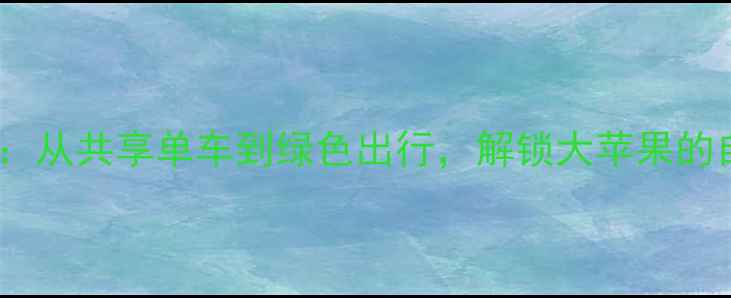 纽约骑行文化全从共享单车到绿色出行解锁大苹果的自行车生活指南