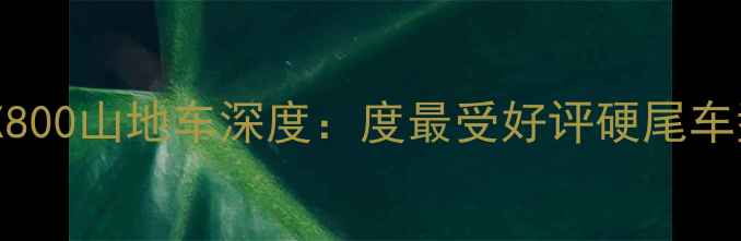 美利达ATX800山地车深度度最受好评硬尾车型全测评