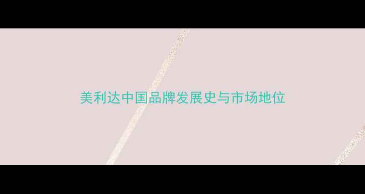 美利达中国品牌发展史与市场地位