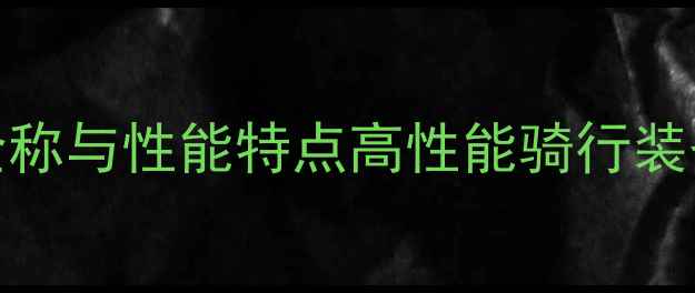 自行车GTR全称与性能特点高性能骑行装备选购指南