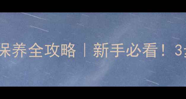 自行车下导轮与链条保养全攻略新手必看3步解决生锈卡顿问题