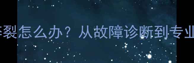 自行车中轴滚珠碎裂怎么办从故障诊断到专业维修的完整指南