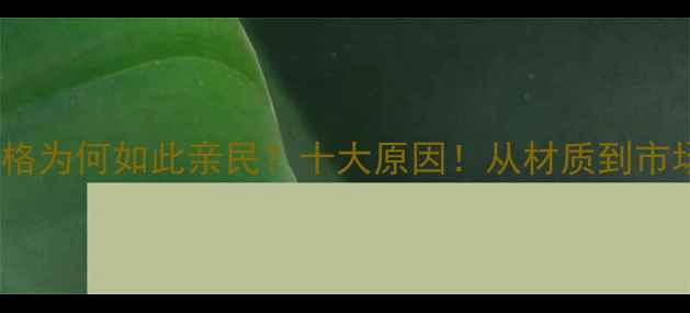 自行车价格为何如此亲民十大原因从材质到市场策略全
