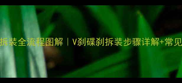 自行车刹车片拆装全流程图解V刹碟刹拆装步骤详解常见故障处理技巧