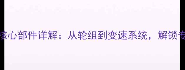 自行车十大核心部件详解从轮组到变速系统解锁专业骑行奥秘