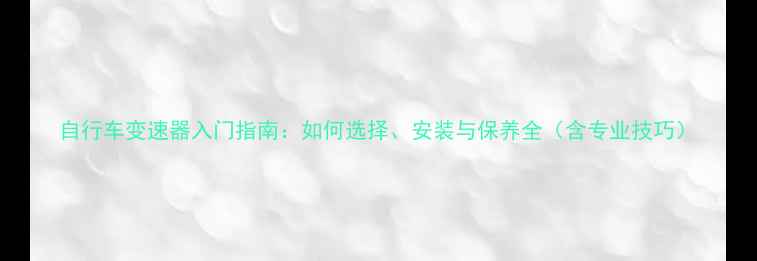 自行车变速器入门指南如何选择安装与保养全含专业技巧