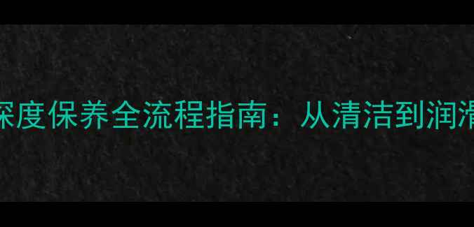 自行车变速系统深度保养全流程指南从清洁到润滑的12步养护秘籍