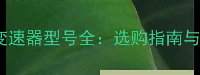 自行车后变速器型号全选购指南与维护技巧