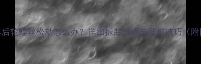 自行车后轮螺丝松动怎么办详细拆装步骤与维护技巧附图解
