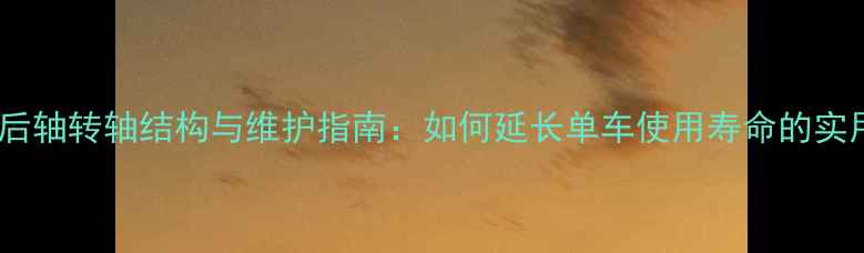 自行车后轴转轴结构与维护指南如何延长单车使用寿命的实用技巧