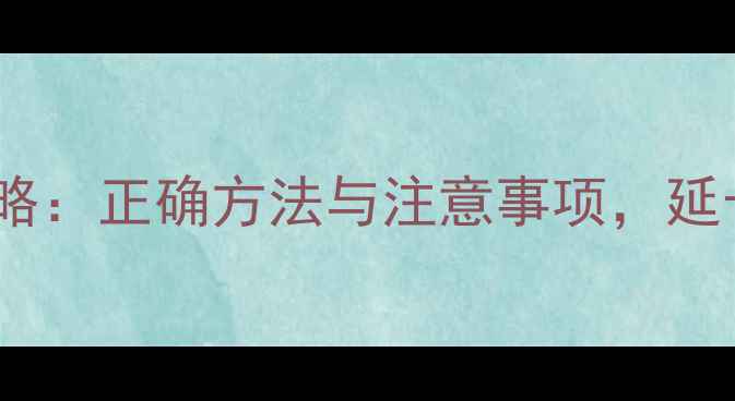 自行车外胎打包全攻略正确方法与注意事项延长轮胎寿命必备指南