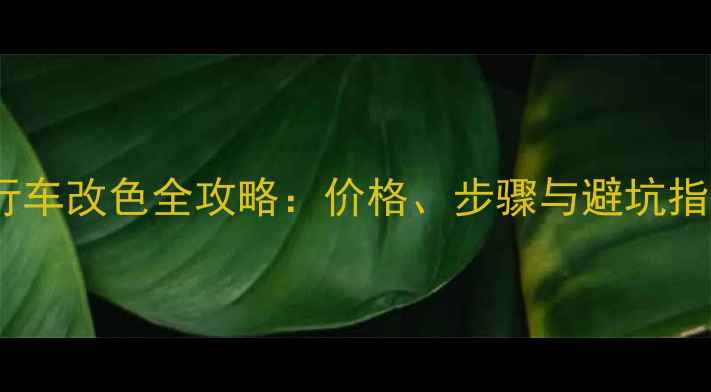 自行车改色全攻略价格步骤与避坑指南