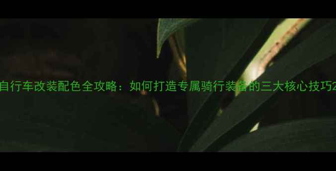 自行车改装配色全攻略如何打造专属骑行装备的三大核心技巧