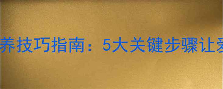 自行车日常保养技巧指南5大关键步骤让爱车焕然一新