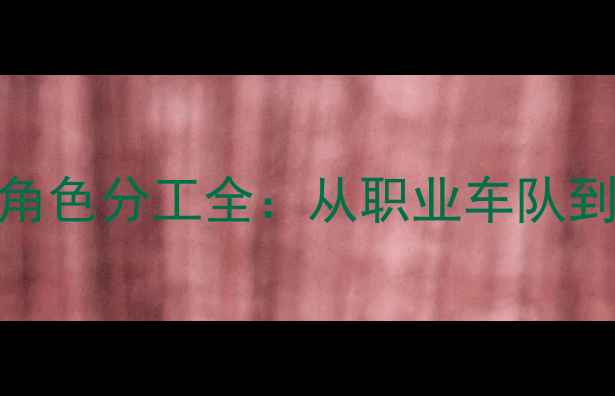 自行车比赛战术策略与角色分工全从职业车队到业余骑行者的实战指南