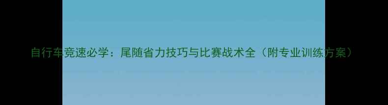 自行车竞速必学尾随省力技巧与比赛战术全附专业训练方案