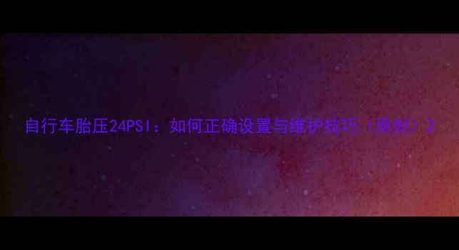 自行车胎压24PSI如何正确设置与维护技巧原创