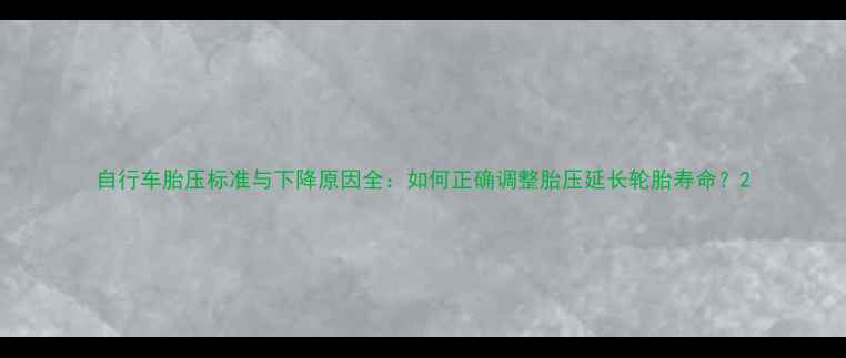 自行车胎压标准与下降原因全如何正确调整胎压延长轮胎寿命