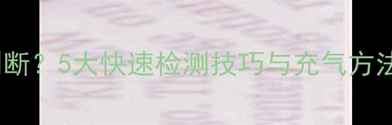 自行车胎没气怎么判断5大快速检测技巧与充气方法全攻略附图解