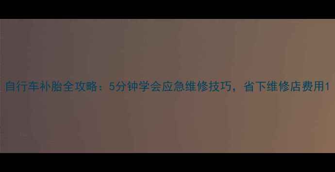 自行车补胎全攻略5分钟学会应急维修技巧省下维修店费用