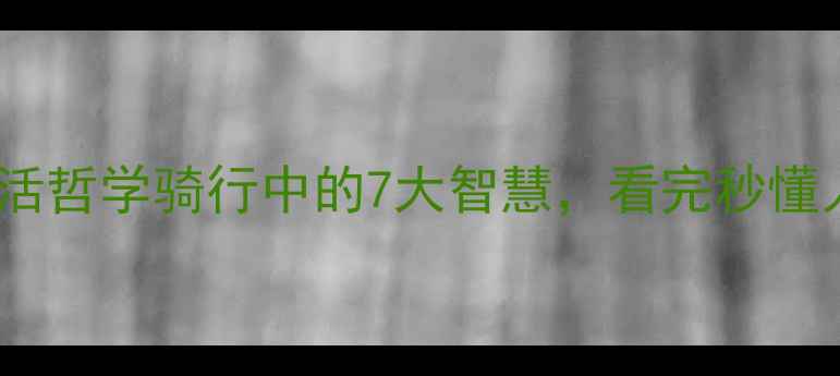 自行车轮上的生活哲学骑行中的7大智慧看完秒懂人生