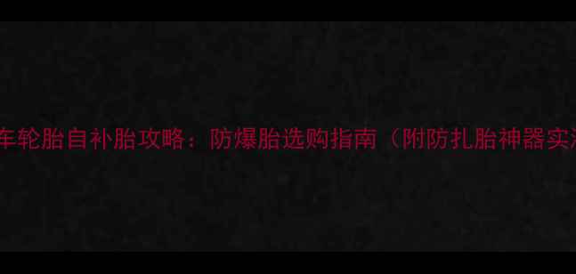 自行车轮胎自补胎攻略防爆胎选购指南附防扎胎神器实测