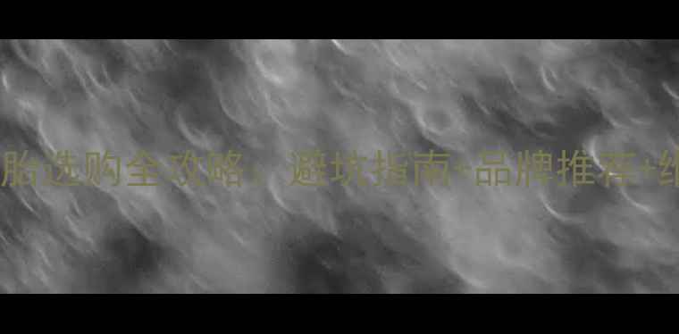 自行车轮胎选购全攻略避坑指南品牌推荐维护技巧