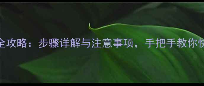 自行车轮轴更换全攻略步骤详解与注意事项手把手教你快速修复故障轮轴