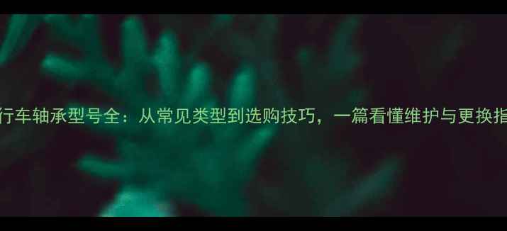 自行车轴承型号全从常见类型到选购技巧一篇看懂维护与更换指南