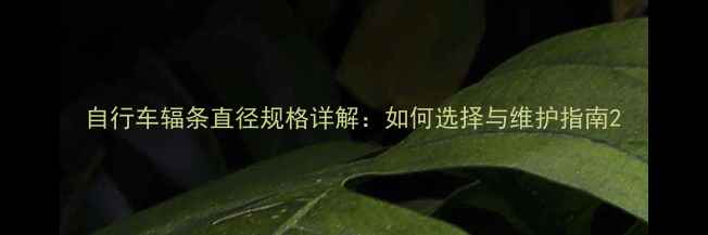 自行车辐条直径规格详解如何选择与维护指南