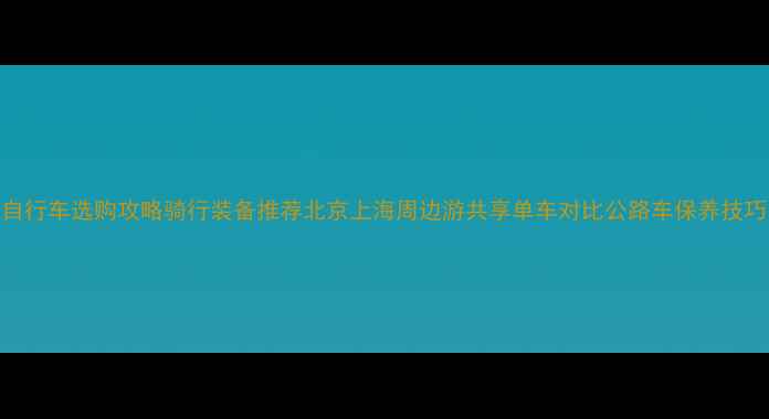 自行车选购攻略骑行装备推荐北京上海周边游共享单车对比公路车保养技巧