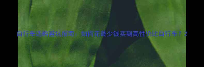 自行车选购避坑指南如何花最少钱买到高性价比自行车