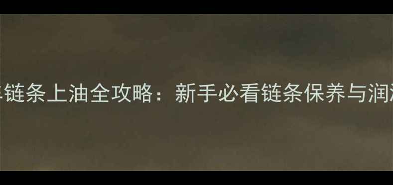 自行车链条上油全攻略新手必看链条保养与润滑技巧