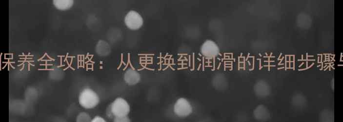 自行车链条保养全攻略从更换到润滑的详细步骤与注意事项