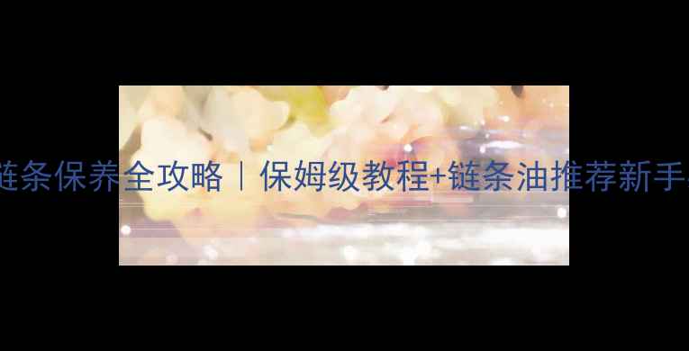 自行车链条保养全攻略保姆级教程链条油推荐新手必看