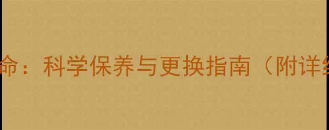 自行车链条寿命科学保养与更换指南附详细养护步骤