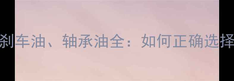 自行车链条油刹车油轴承油全如何正确选择与使用维护技巧