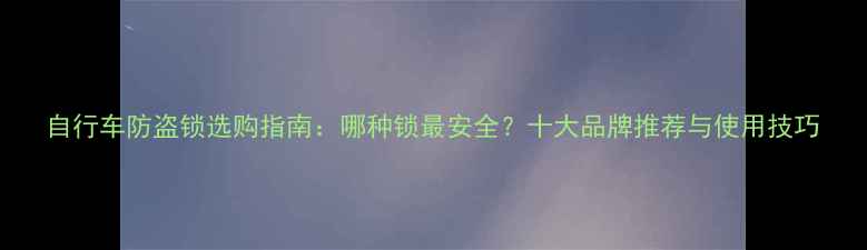 自行车防盗锁选购指南哪种锁最安全十大品牌推荐与使用技巧
